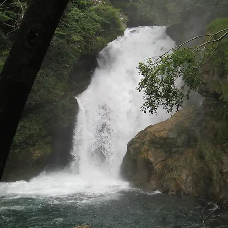 Krek Žirovnica