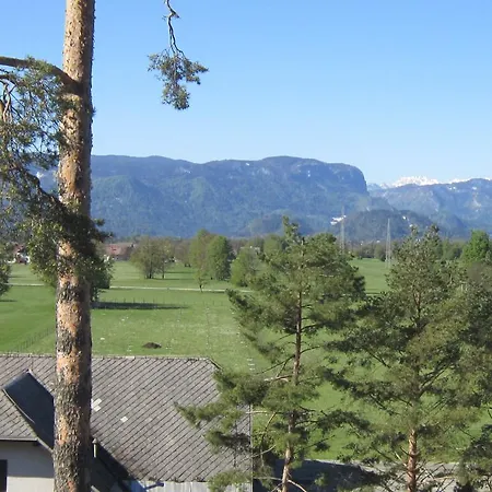 Apartman Krek Žirovnica